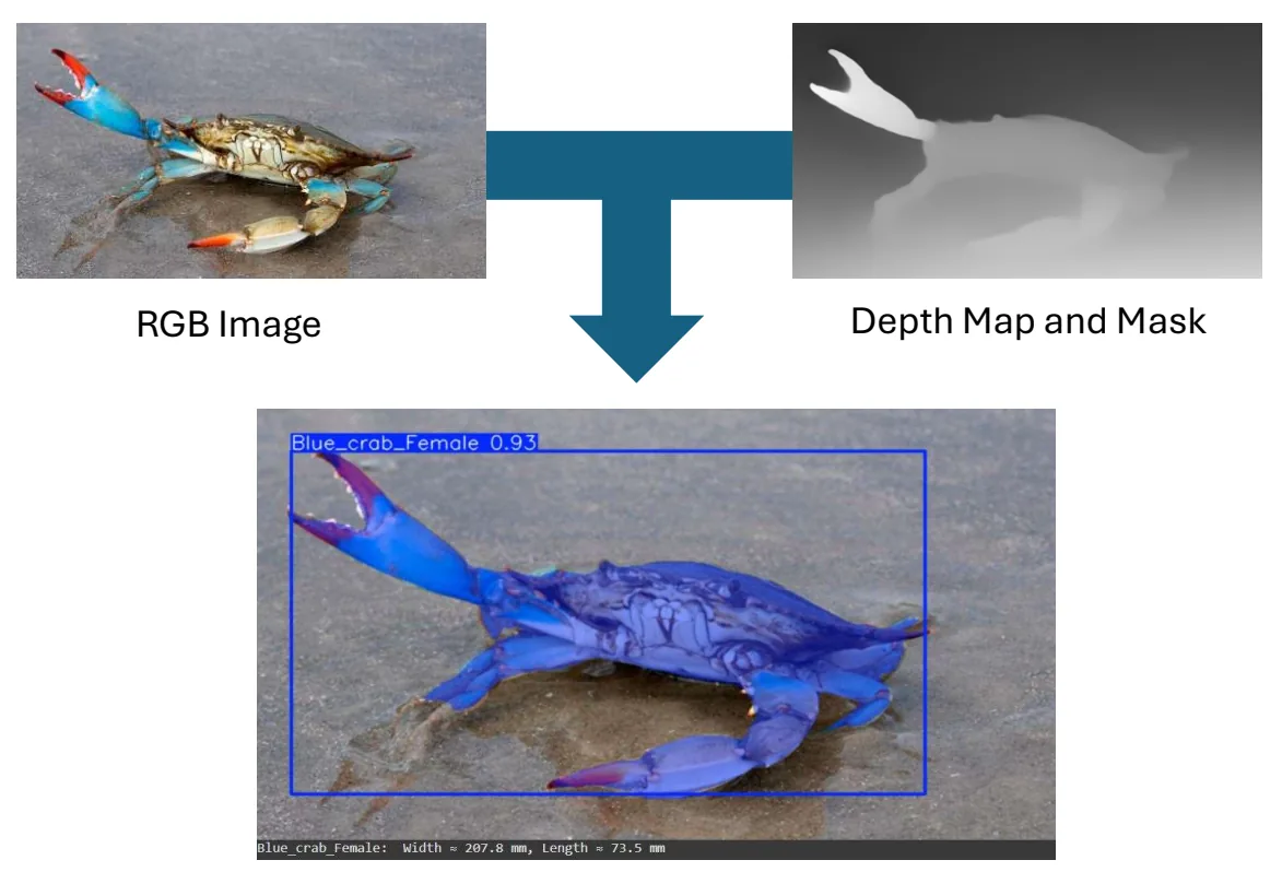 Workflow combining RGB instance masks, aligned depth and camera calibration for dimension estimation.