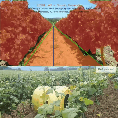 Animated MAR Rover field demonstration showing predicted masks and image-space crop-row guidance.